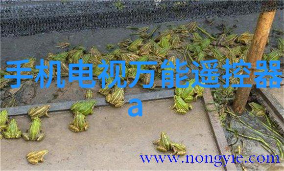 青岛装修设计海岸城市的家居艺术探索