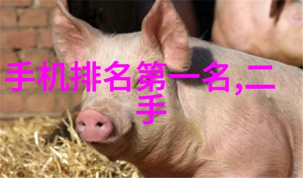 什么因素会影响水质分析的准确性