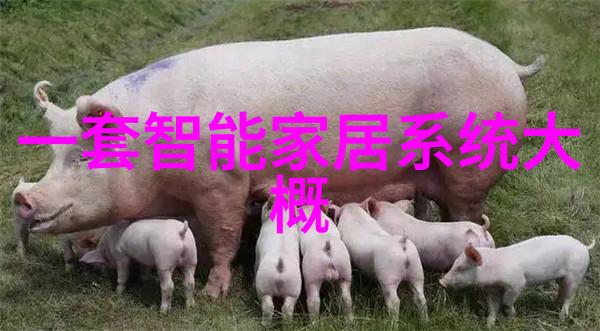 废气处理巨头VOC公司竟成环保新秀