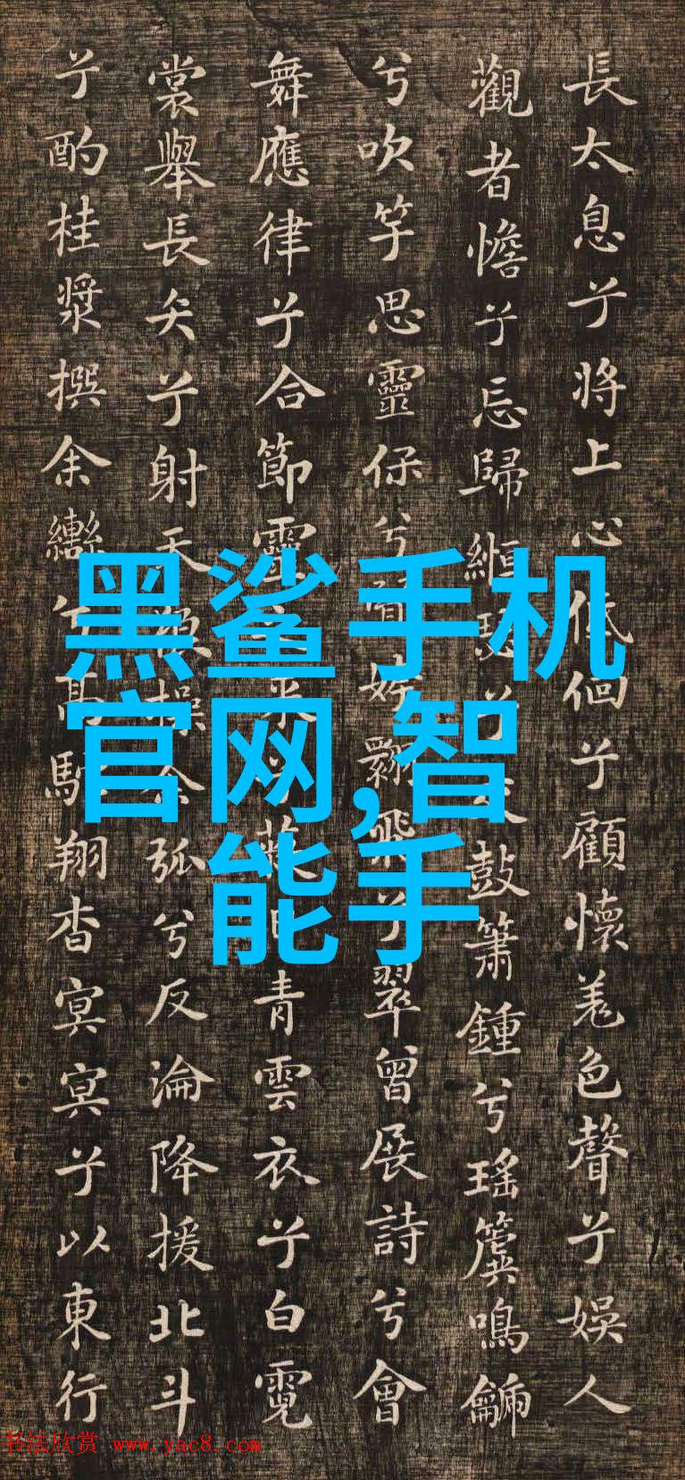 人才素养测评揭示未来领袖的内在品质