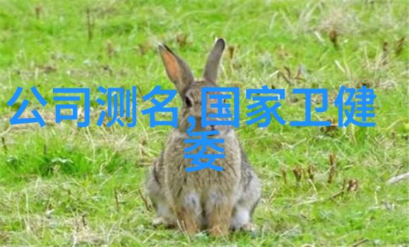 混合机搅拌机生产设备技术创新与应用前景探讨