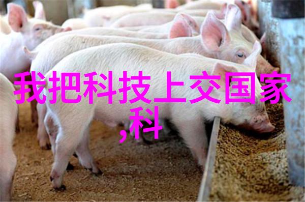 天津防水补漏城市的守护者与时尚的面具