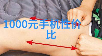 重庆装修公司排名前十有哪些 - 重庆市内十大装饰公司品牌比较评析