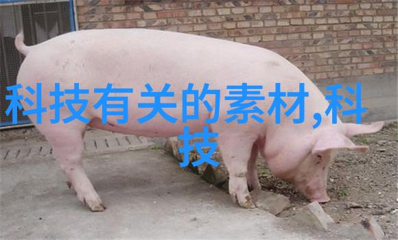 班长的隐秘授课C一节课的不寻常作文视频