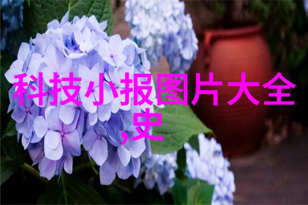 河南财经政法大学的学术地位探究一本还是二本的差异考量