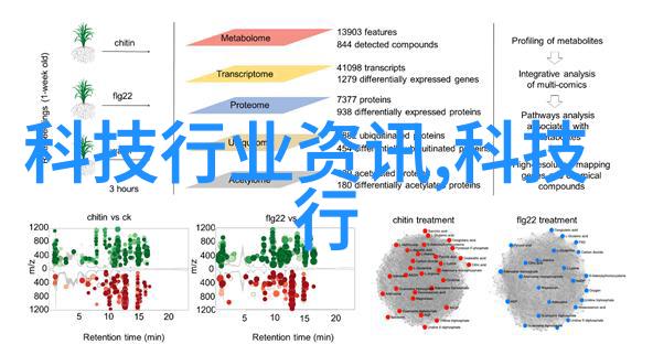流光之城 小说-光影交织流光之城的秘密篇章
