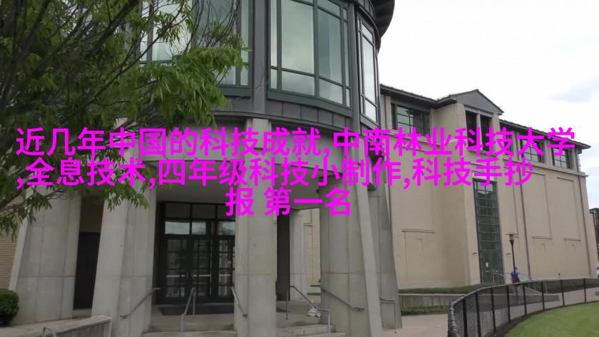 效果展示