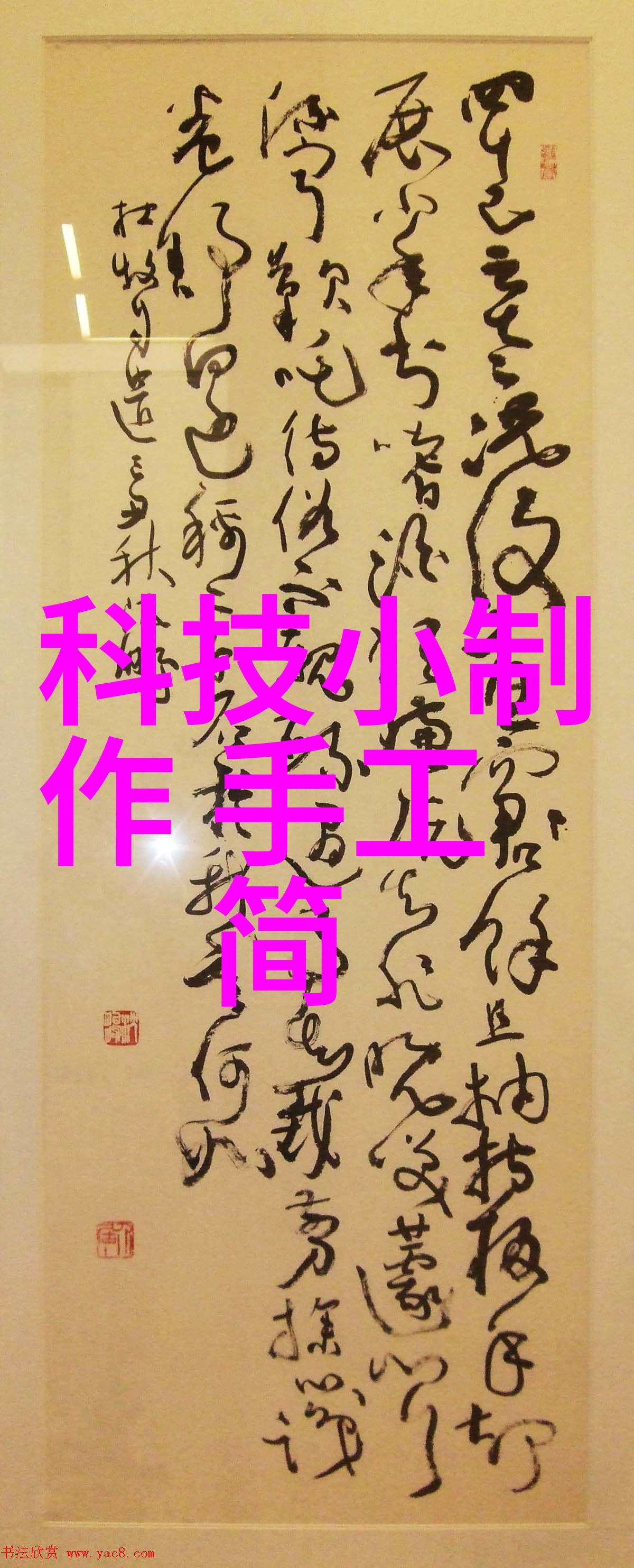 输送带维护与更换指南延长使用寿命