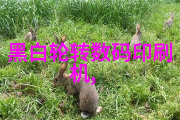 液体的记忆揭秘粘度背后的未知世界