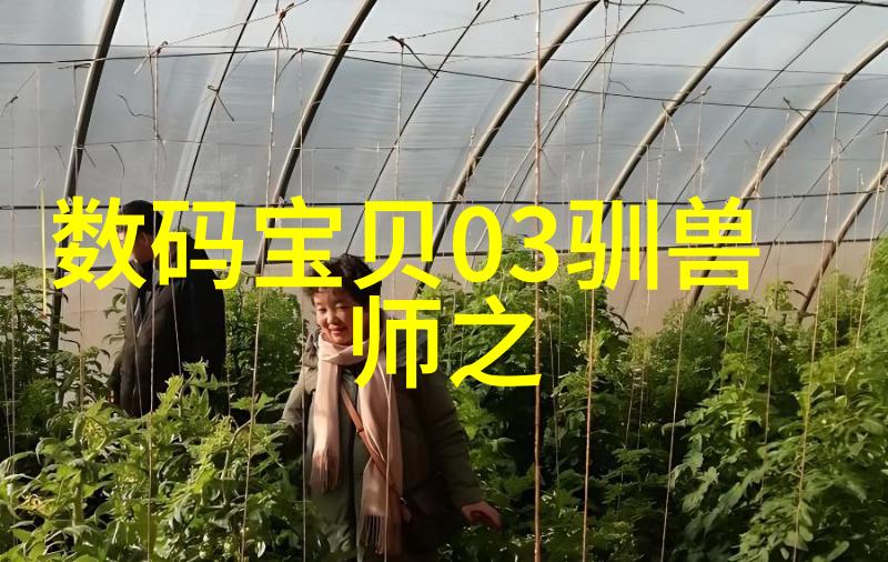 不锈钢规整填料尺寸优化提升工厂生产效率与产品质量