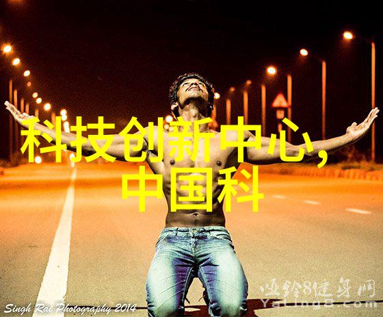 现代家居装饰大师的艺术探索简约风格下的大气魅力
