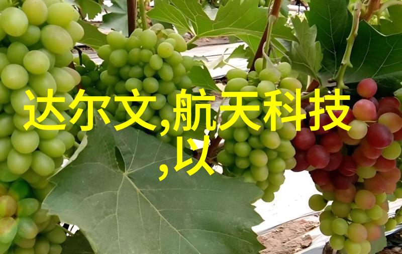 流体传送dn50鲍尔环的旋转魔力