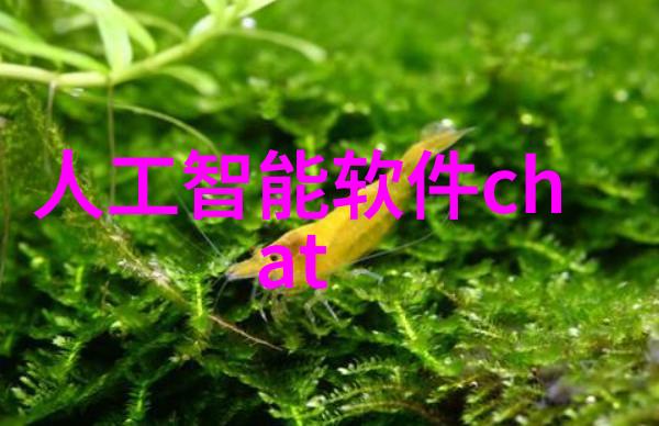 夏日美体30天挑战全面提升女生发育