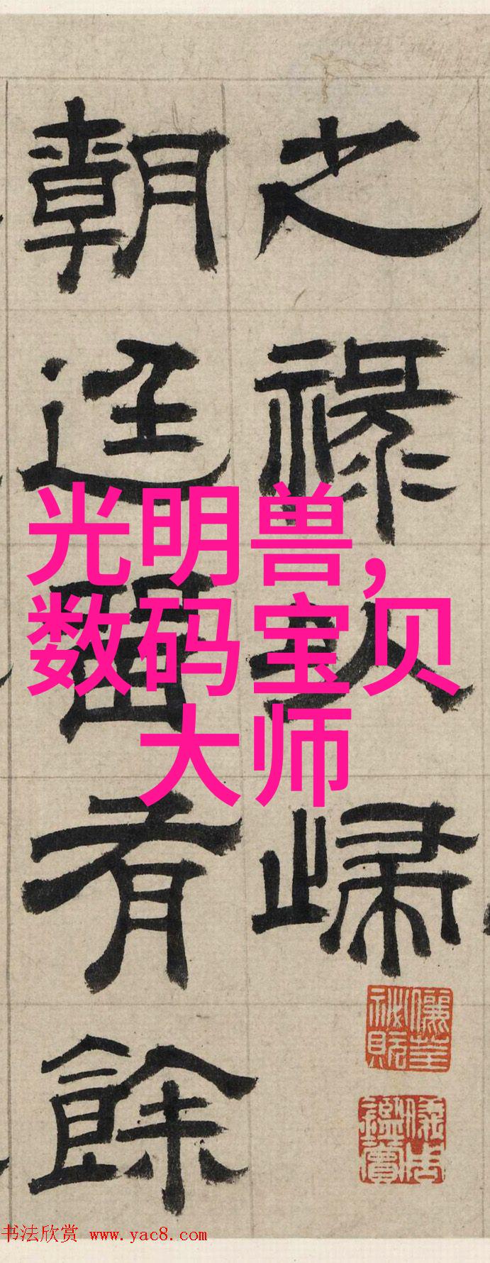 丝网填料与陶瓷填料的差异探究哪种更适合你的工艺需求
