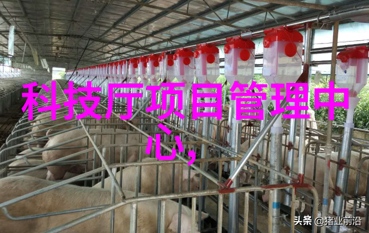 固定床反应器的工作原理解析