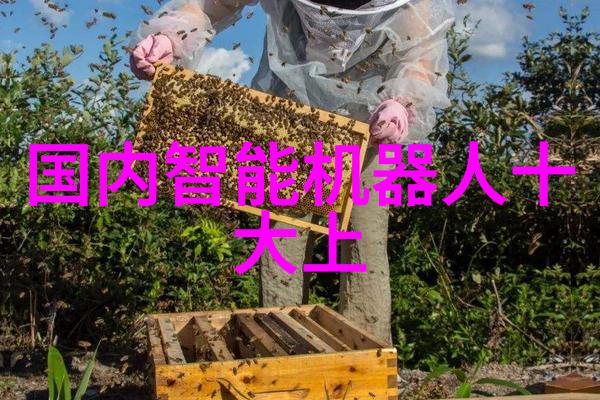 怎么检测家里的水质我是如何自己检查家里的饮用水质量的