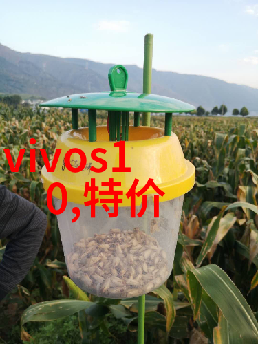 中国计算机职业技术资格网开启智慧之门激发未来潜能