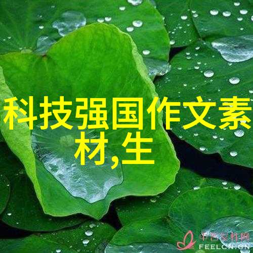 岩石肌肤的诗篇多孔砖的故事