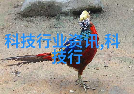 国内首个电信级开放可信基础设施技术联盟成立中国移动清华北大等发起