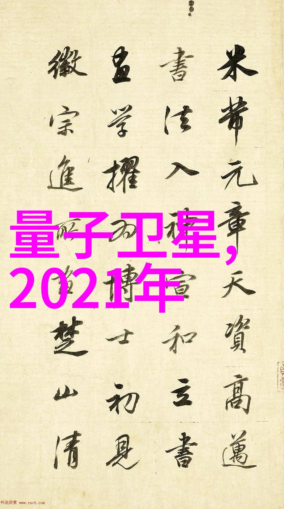 净制 - 清洁至纯探索食品净制工艺的艺术与科技