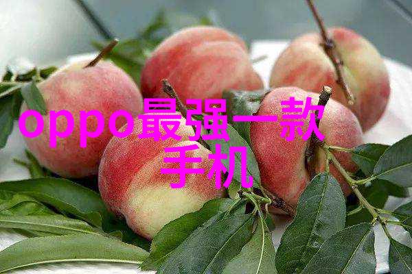 探索知识创新深入中国专利查询系统官网的世界