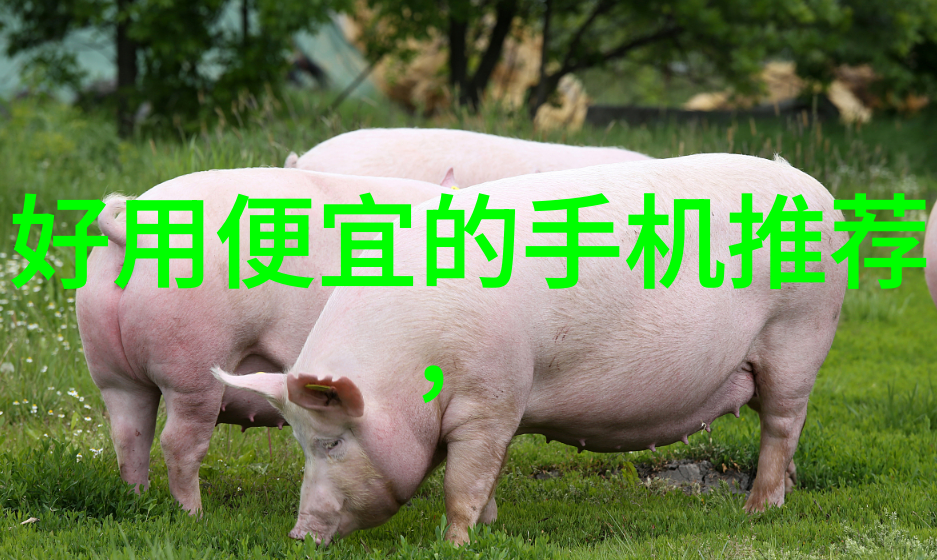 工业废气处理-净化塔的守护者如何高效处理工业废气