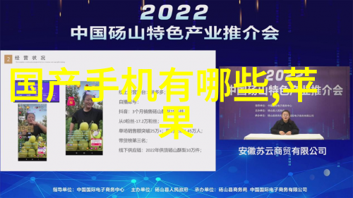国产芯片崛起寻求新纪元的半导体霸主