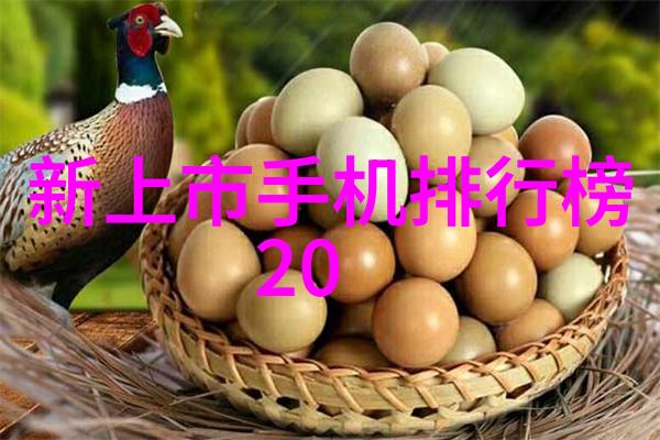人工湿地火山岩填料生态修复与美化的新时代选择