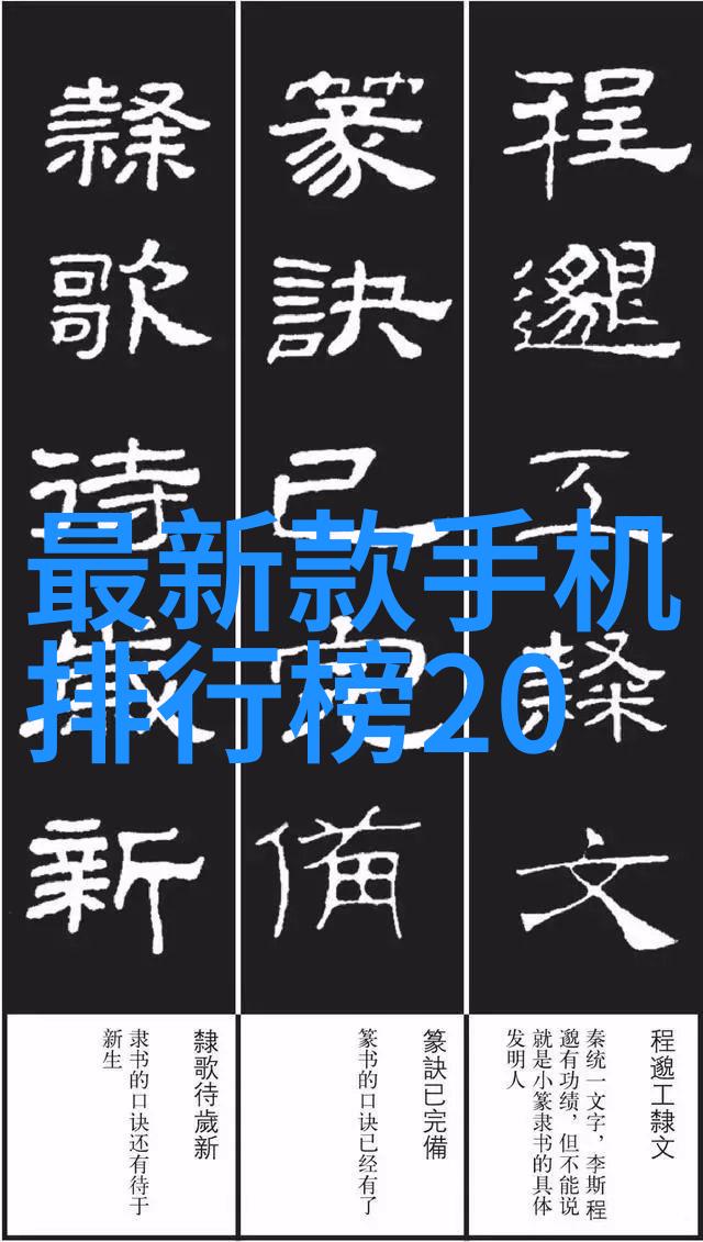 不锈钢输送机之谜如何保证食品安全在高速移动中