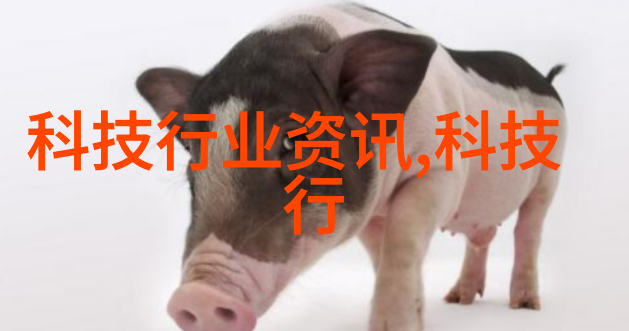 从地基到细节毛坯房装修的先后顺序指南