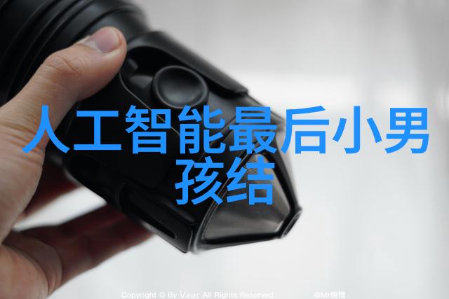 化学实验室中的重要设备探索发生装置与反应装置的独特之处