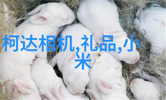 生活用水水质检测价格家庭用水质量分析服务