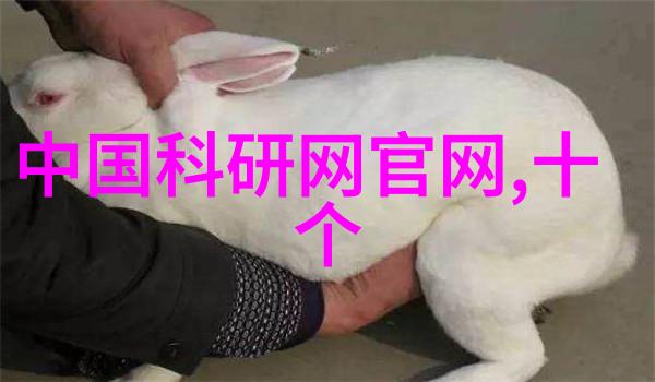 振动料斗安装指南及注意事项