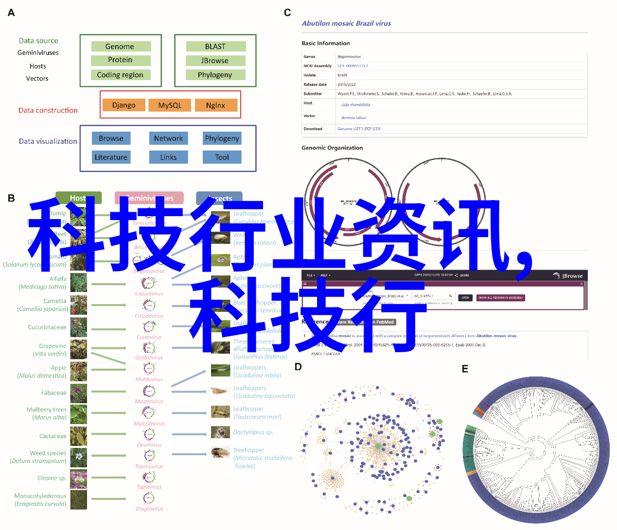 小型防水涂料生产设备系统设计与应用