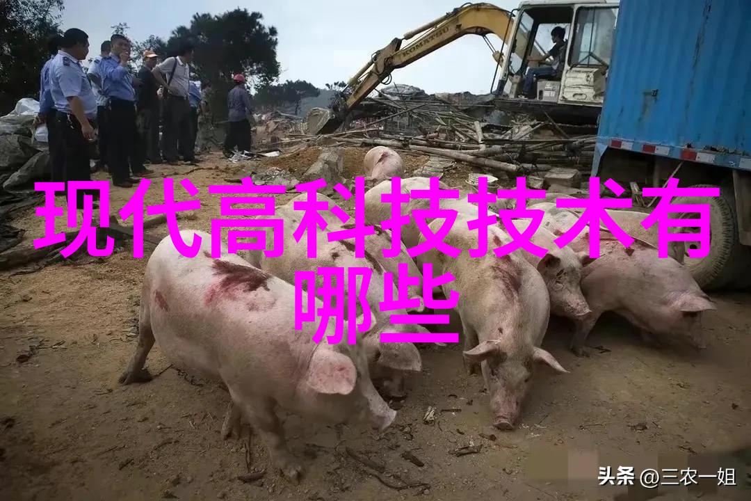 机器的微笑与碎片的哀嚎