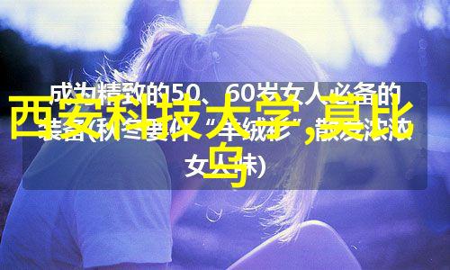 仿石漆的艺术之美与实用性探究