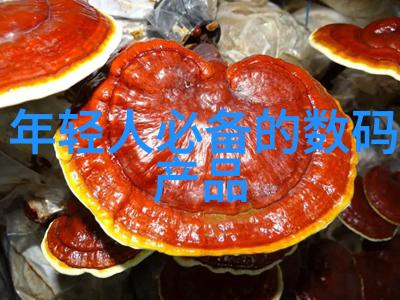 丝网波纹填料织梦空间的细腻艺术家