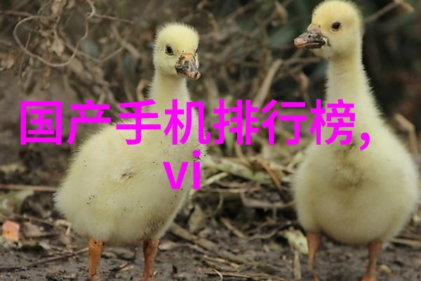 水源探秘一滴井水的价值考量