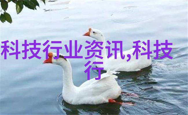 陕西职业技术学院学府的技艺之光