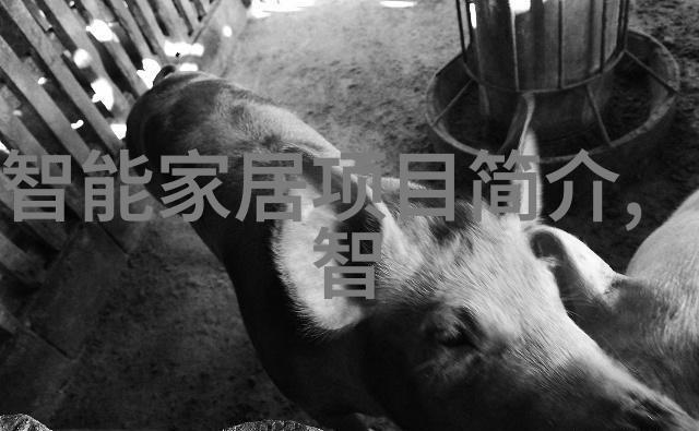 废水处理设备制造高效环保污水处理技术