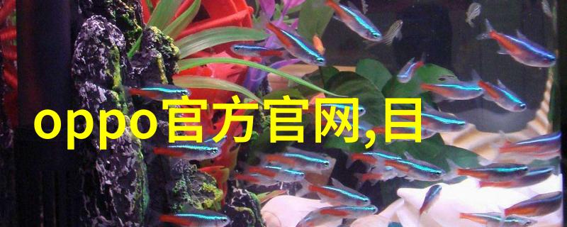 有效清理与维护实用指南