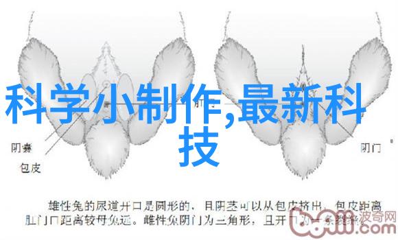 化工制冷设备能否实现零能耗运行