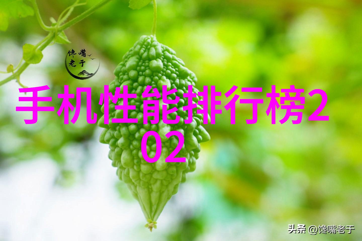 铝塑分离机高效节能的物料分类设备