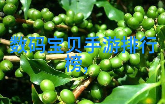 公主的新衣童话般的流萤纱裙
