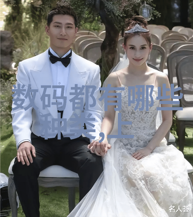 大型油烟净化设备在现代建筑环境中的应用与技术进展研究