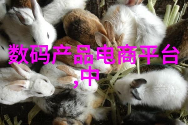 开启清凉之旅详解不同类型的空调工作方式