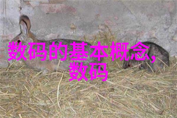 旧空调新生如何正确回收和利用价值