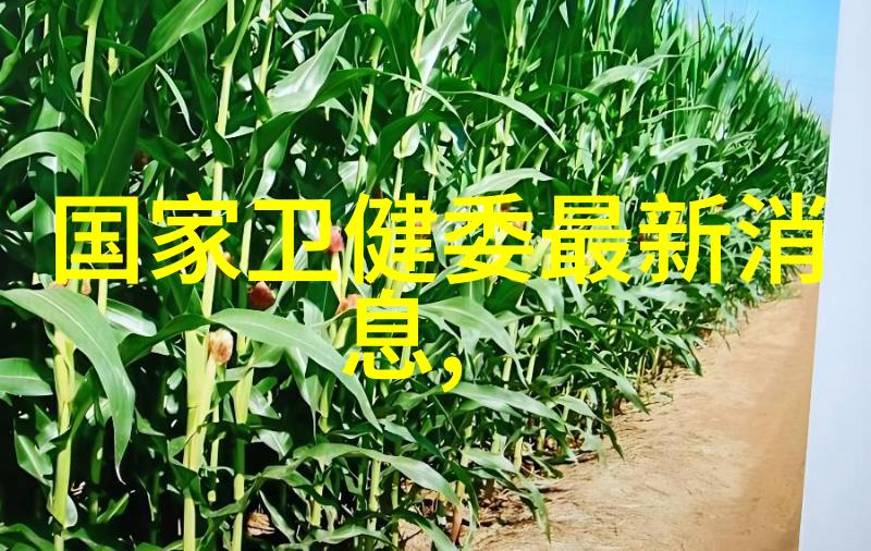 农村自建房客厅隔断的创意装饰与实用性融合
