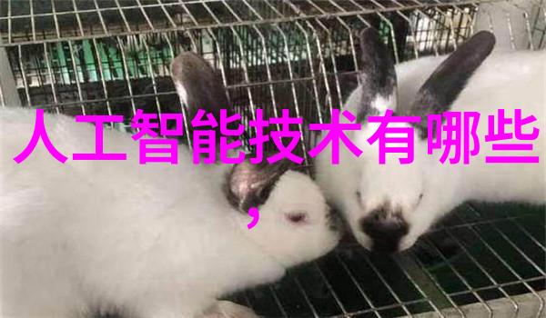 化工药品直接包装机械-高效稳定的剂量控制化工药品直接包装机械的关键技术与应用