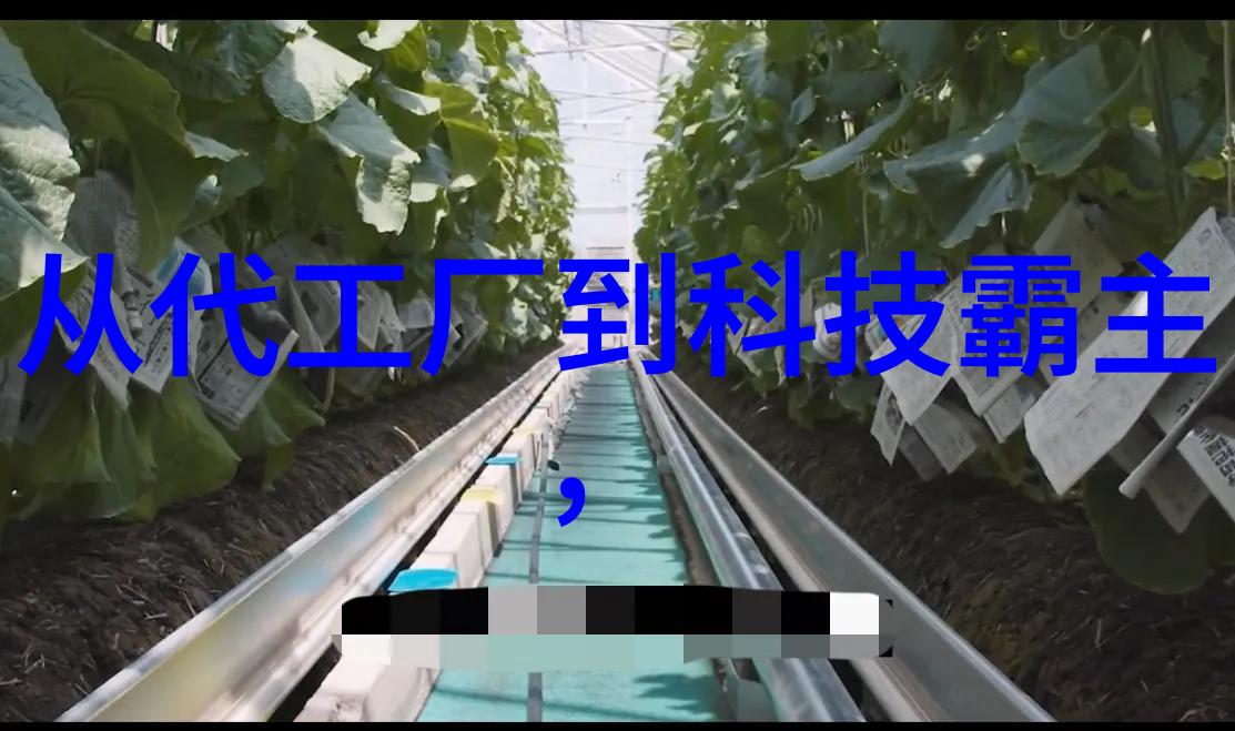 变革与创新是关键评估顾地管业持续领先的能力